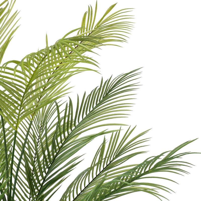 Palmier vert Areca de 60 po Primrue.
