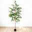Ficus artificiel Lyman 6 pi avec tronc de bois naturel