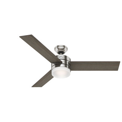 54" Exeter 3 - Blade Standard Ceiling Fan with Remote Control and Light Kit Included