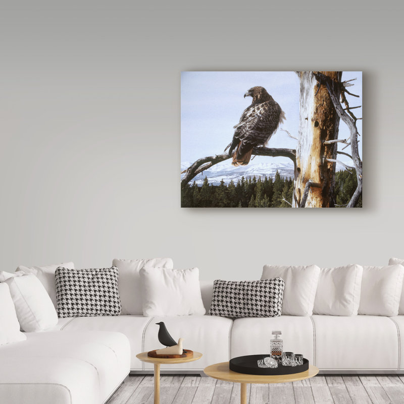 «Red Tailed Hawk» par Etelca, impression sur toile tendue, H 14 po x l 19 po x P 2 po