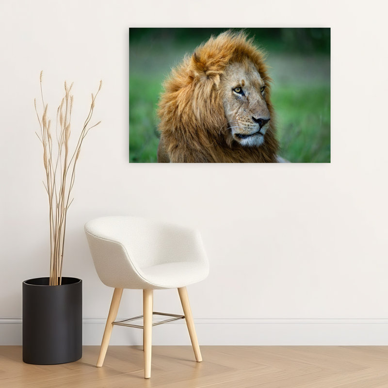 Print, 60.96cm H x 91.44cm W
