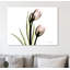 Tulip Love H37 - Wrapped Canvas Print-1671342382