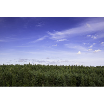 Forest Landscape by Lordrunar