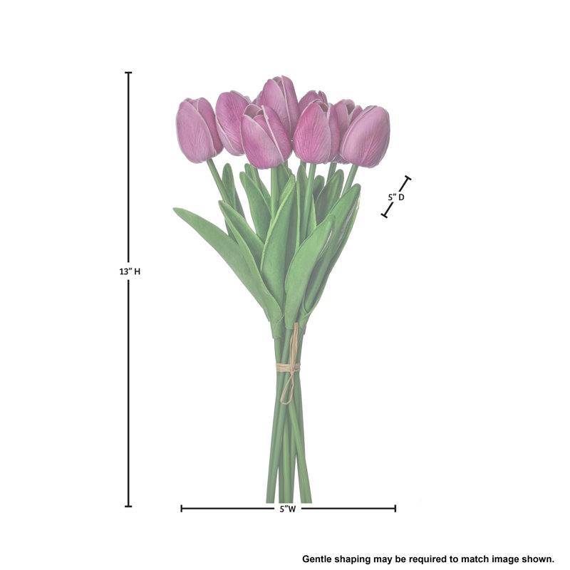 Ensemble de tulipes 13 po Eva