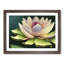 Precious Lotus Flower - Framed Print-327957392-327957394