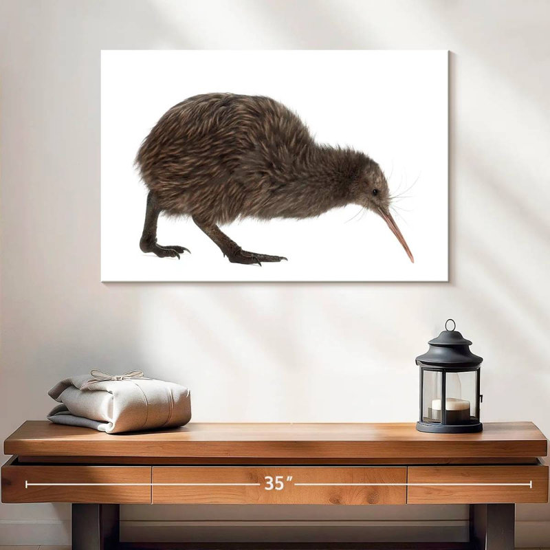 Kiwi Bird, 16" H x 24" W