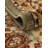 Niles Oriental Light Green Area Rug-813178952