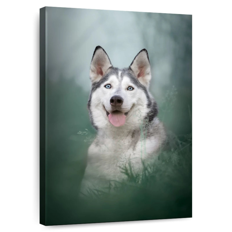 Husky On Grass, 30" H x 20" W