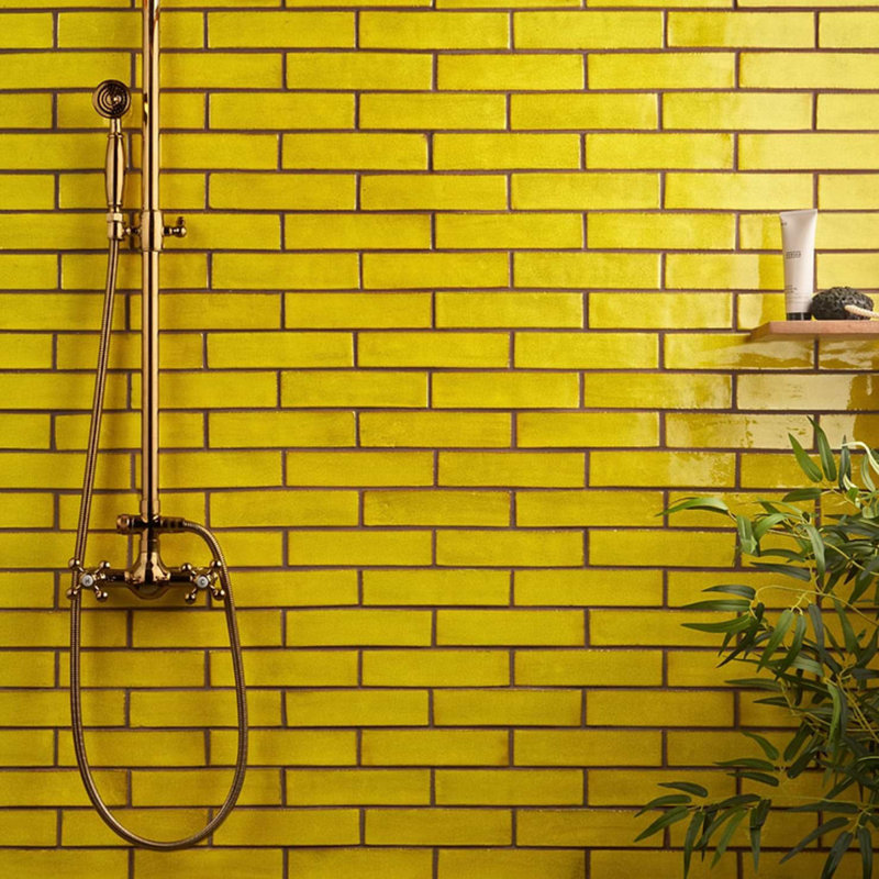 Emery 2x8 Handmade Crackled Glossy Terracotta Subway Tile
