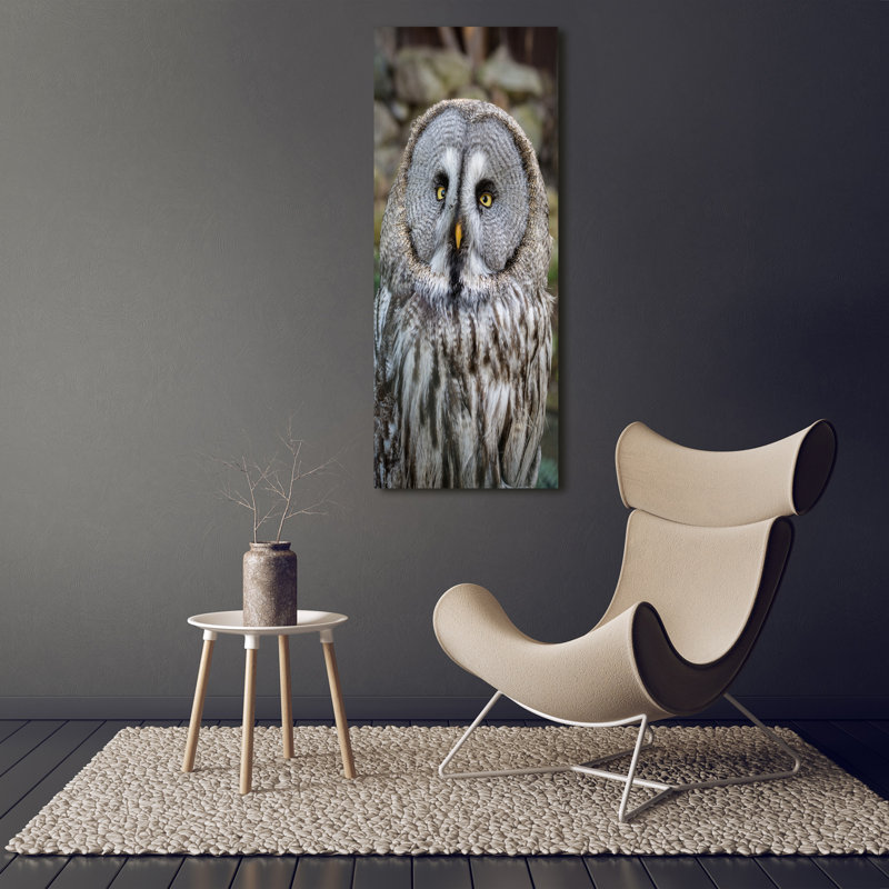 Owl - Wrapped Canvas Print