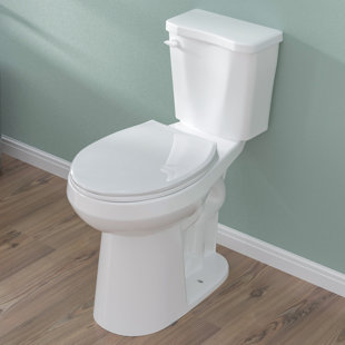 21 in. Tall Two-Piece Toilet 1.28 GPF Single Flush With Soft Close Seat for Seniors & Tall Users