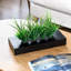 23 cm H Faux Onion Grass Plant