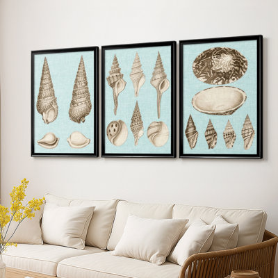 Sépia et turquoise coquillages I - Toile tendue avec châssis sur mesure - 3 pièces