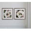 « anemone study », ensemble de 2 reproductions encadrées-27610095
