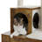 Emrynn 50'' H Cat Tree-2073957723