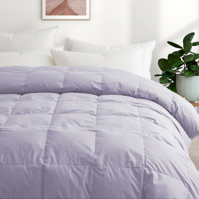 All Season Cotton Down Comforter/Duvet Insert, Queen Comforter, Purple