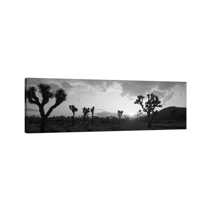 Sunset, Joshua Tree Park, California, USA 1 Piece Wrapped Canvas Panoramic Wall Art, 30.48 cm H x 91.44 cm W x 1.91 cm D