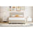 Chavanne Velvet Upholstered Platform Bed with Drawers and Trundle-1547508939