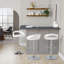 Adjustable Barstool