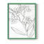 Reproduction encadrée botanique II-1789398601-1761947441