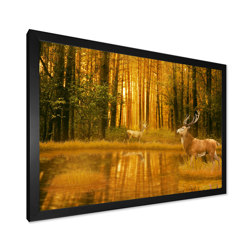 Deer Bucks In Summer Sunset - Décoration murale traditionnelle sur toile, Cadre photo noir, H 8 po x l 12 po x P 1 po