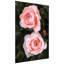 «Ethereal Roses I»