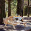 Solid Wood Tray-67067826