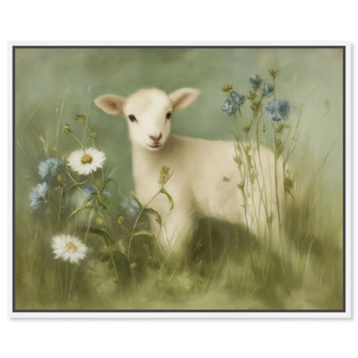 «Cornflower Lamb II», reproduction d'art sur toile encadrée par Art Remedy, cadre blanc, 20 x 16