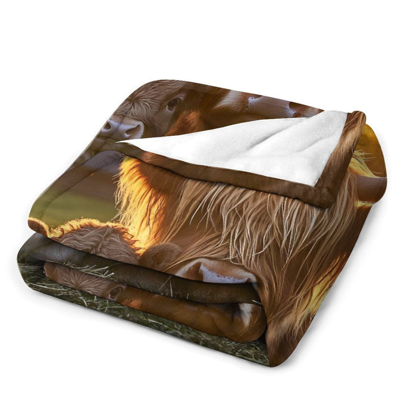 Coussin en microfibre pour canapé-lit Highland, L 50 po x l 40 po