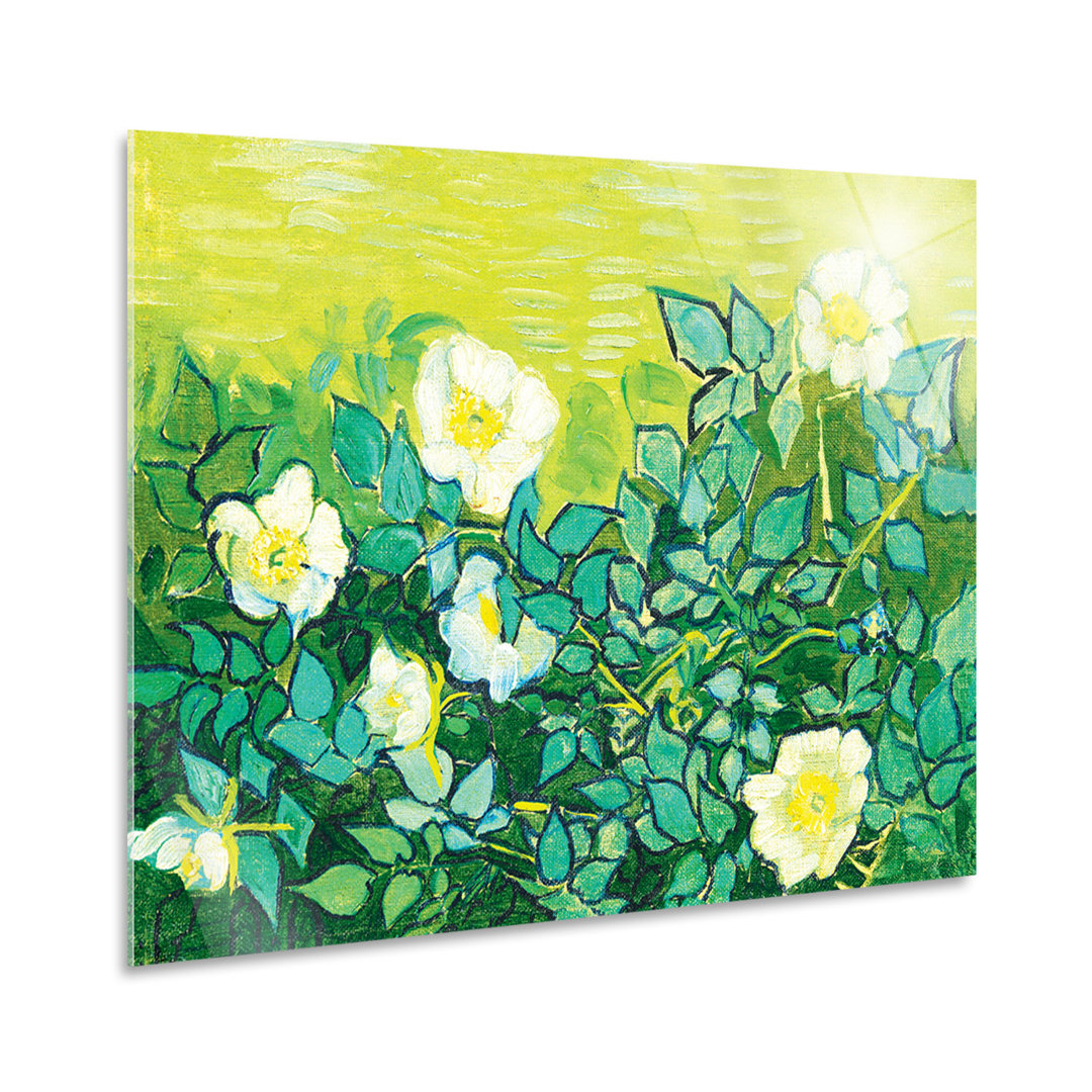 Kunstdruck Wild Roses von Vincent Van Gogh