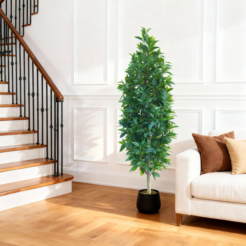 150cm Plant, Black