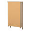 Ameiya 8 Pair Shoe Storage Cabinet