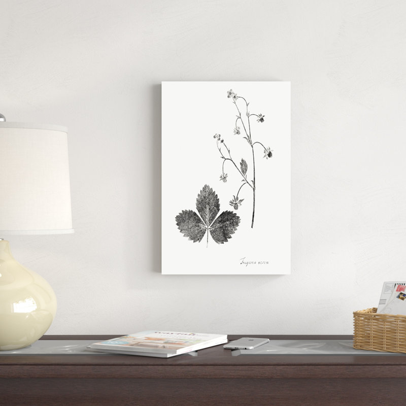 Impression botanique IV, H 18 po x l 12 po x P 1,25 po