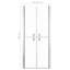 Porte de douche vidaXL transparente ESG et aluminium 39,8 po x 74,8 po argent
