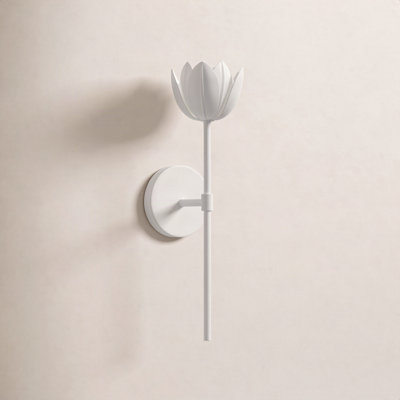 Dario 1-Light Dimmable LED Armed Sconce