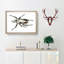 Goliath Beetle by George Shaw - Picture Frame Painting Print-55620854-55620852