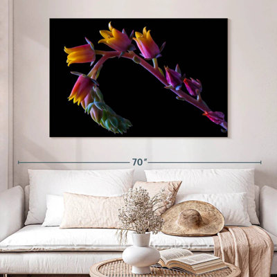 Harnek Succulent Flowers Stalk