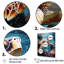 Tortue de mer ludique - Tortue, art mural, salon-357076072-411129019