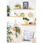 Ceramic Pot Planter