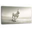 Magnifique cheval blanc qui court - impression sur toile tendue-413930969