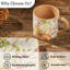  Fall Festival Pumpkin Orange Mug Set Of 4