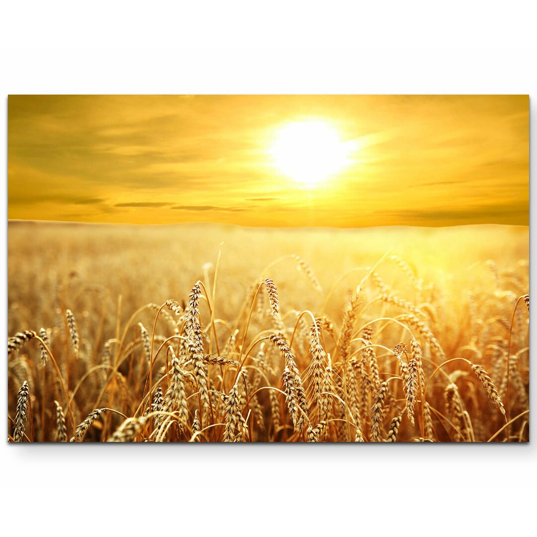 Leinwandbild Sunset over a Ripened Wheat Field