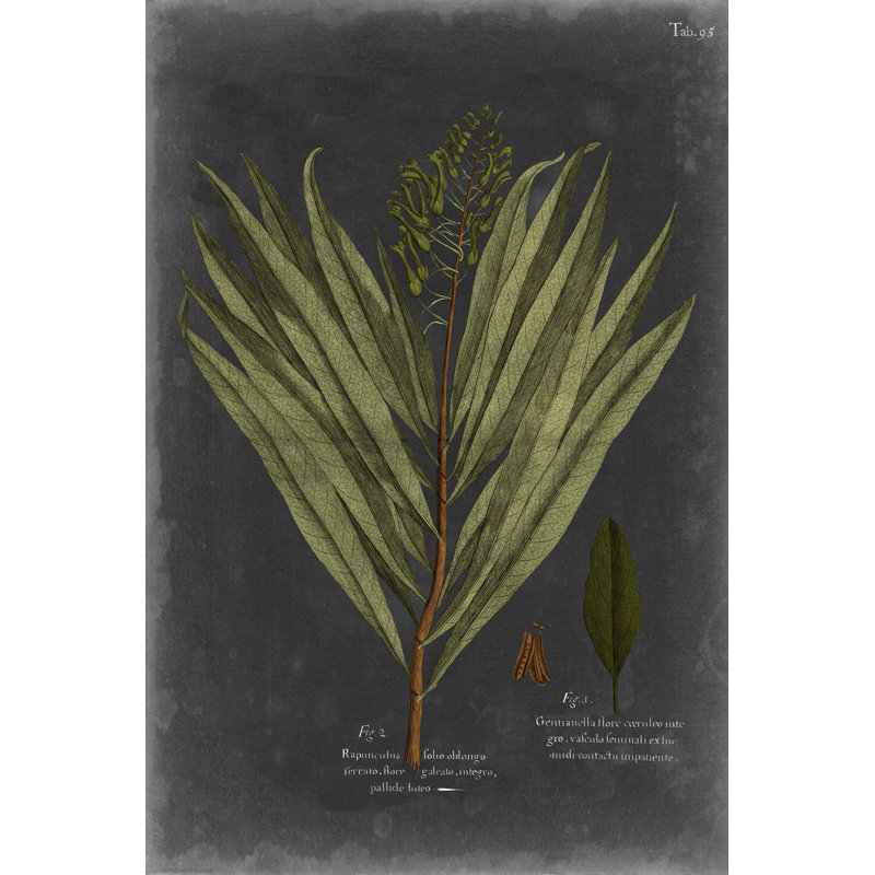 «Foliage Dramatique II» par Vision Studio - reproduction d'art sur toile, H 18 po x l 12 po x P 1,5 po