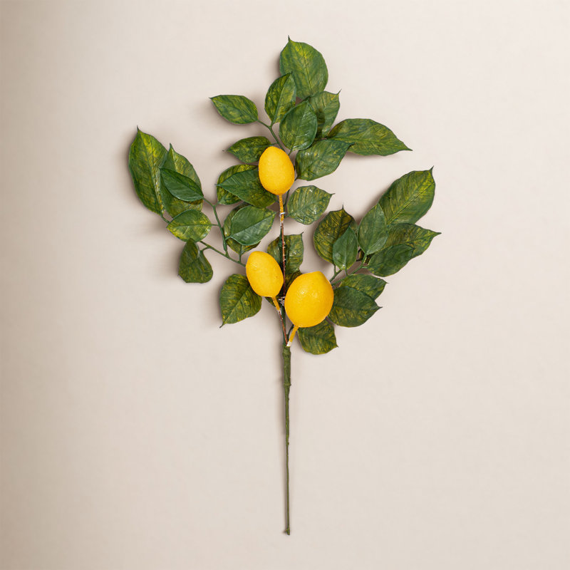 20'' Faux Salal Leaf Lemon Plant