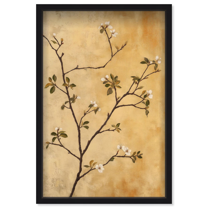 Oliver Gal Nature's Grace Floral & Botanical - Luxury Shadowbox Framed Wall Art, 37.5" H x 25.5" W, Black