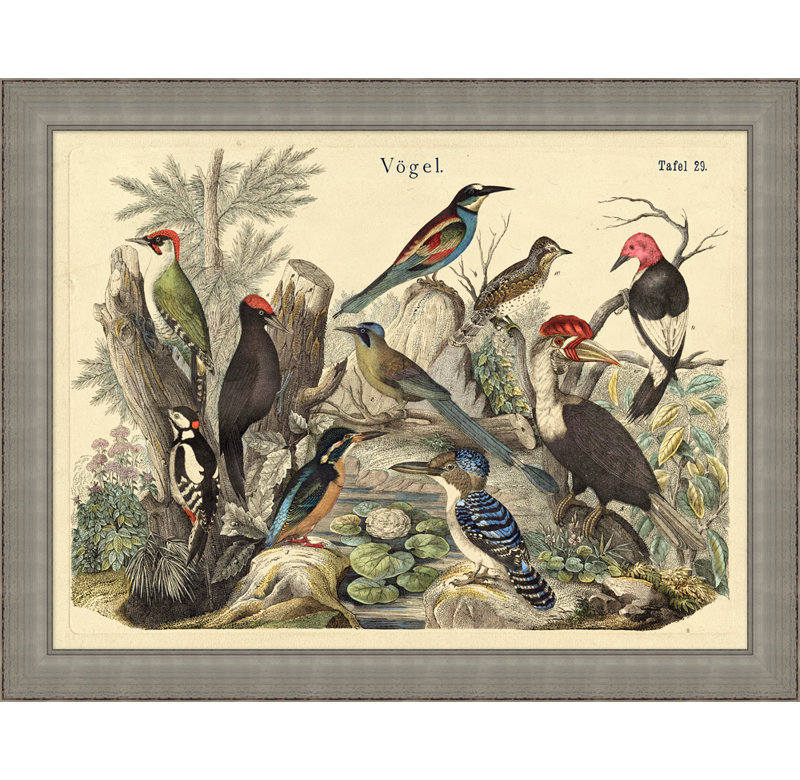 Vogels Aviary 1 Print