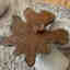 Photos des clients 2 de 2