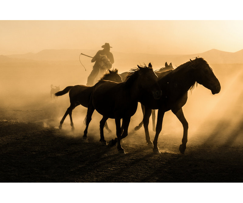 Wrapped Canvas Print, 50.8 cm H x 76.2 cm W