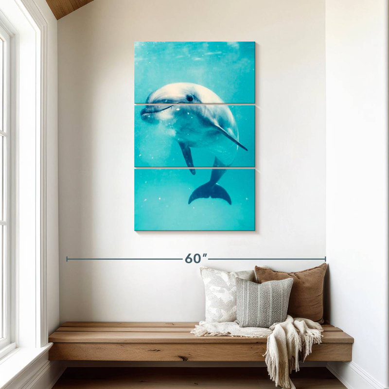 Brampt Bottlenose Dolphin Underwater, 45'' H x 28'' W