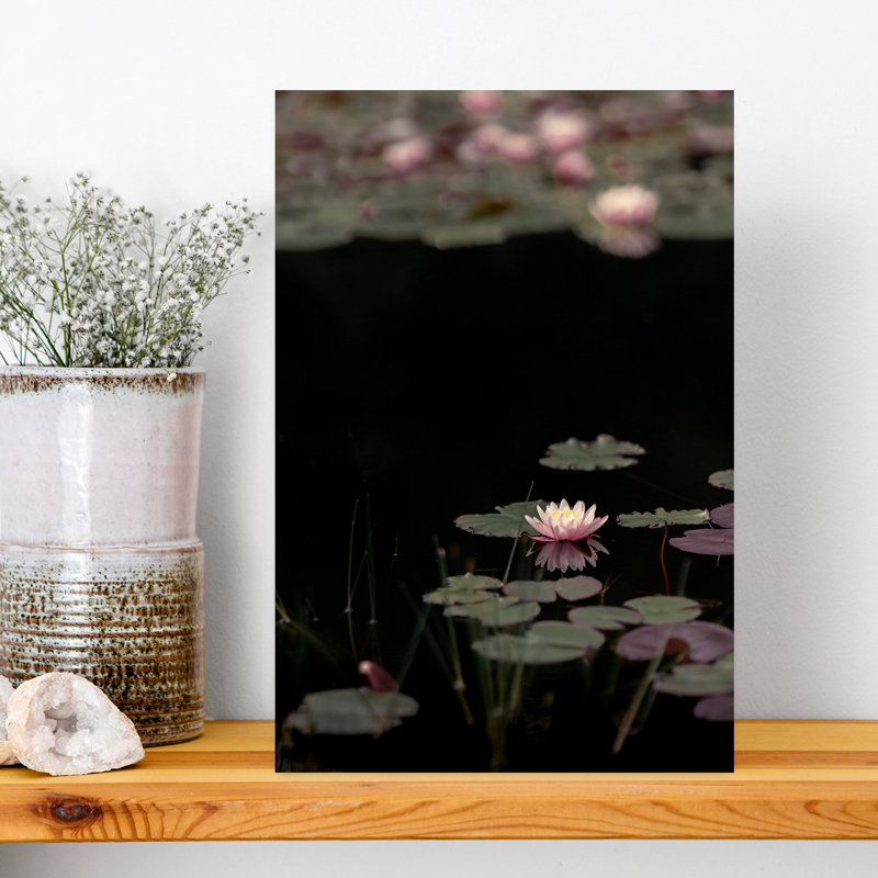 Print, 45.72cm H x 30.48cm W